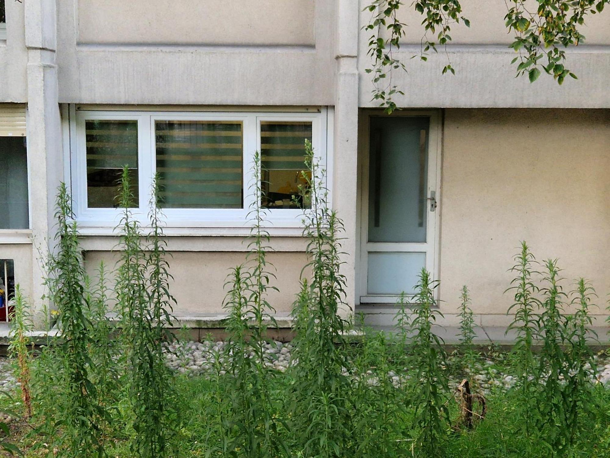 Comfortable Rooms For Working - Levallois Levallois-Perret Exterior foto
